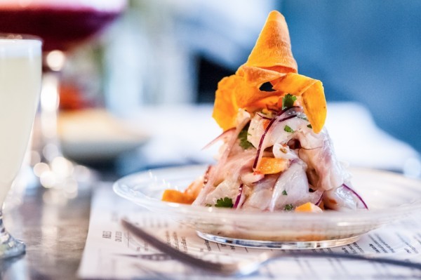 Don Ceviche Masterclass